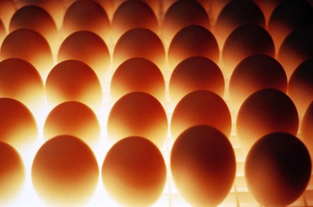 8 октября - День яйца!