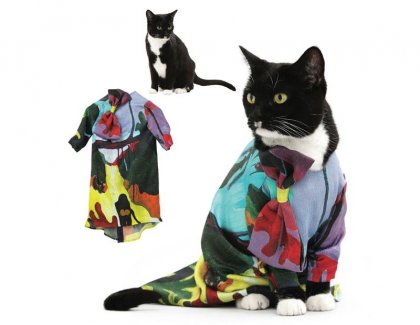 Мода от кошек