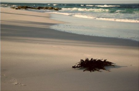 Затеряннае пляжи Австралии