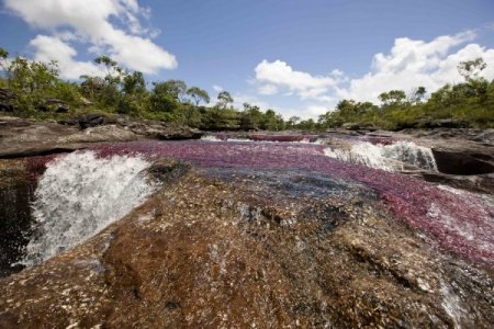 Каньо Кристалес - самая красивая река на Земле