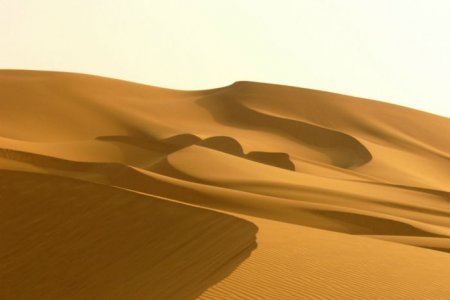 Царство песка