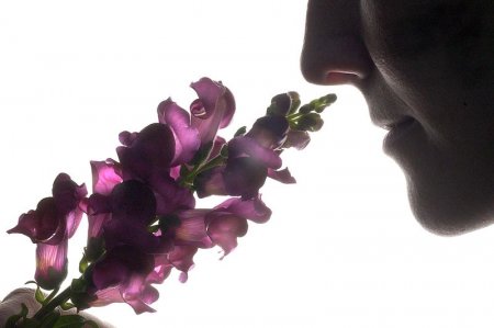10 фактов о самых полезных запахах