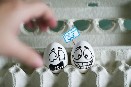 Истории из жизни яиц, наделенных эмоциями