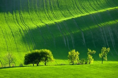 Зеленые волны Моравии