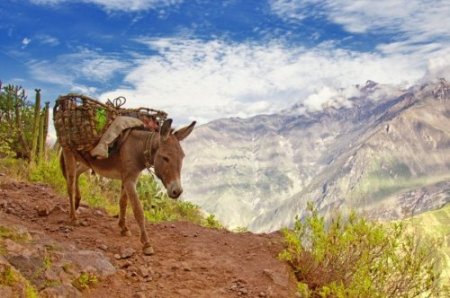 20 самых живописных каньонов мира