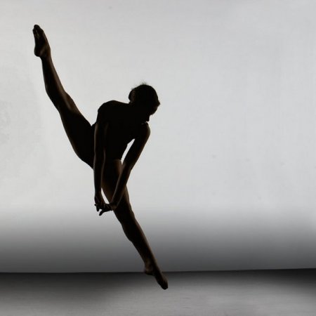 Волшебная грация балерин
