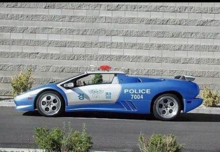 Полицейские автомобили разных стран мира