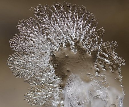 Снежинки. Фотограф Андрей Осокин