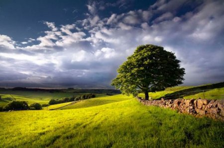 Landscape Photographer Of The Year 2012